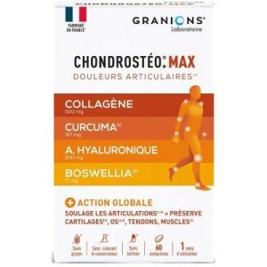 Granions Chondrosteo Max Collagene 226G