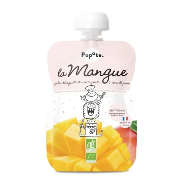 Popote Gourde Mangue Bio 120G